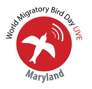 Maryland Bird Day LIVE